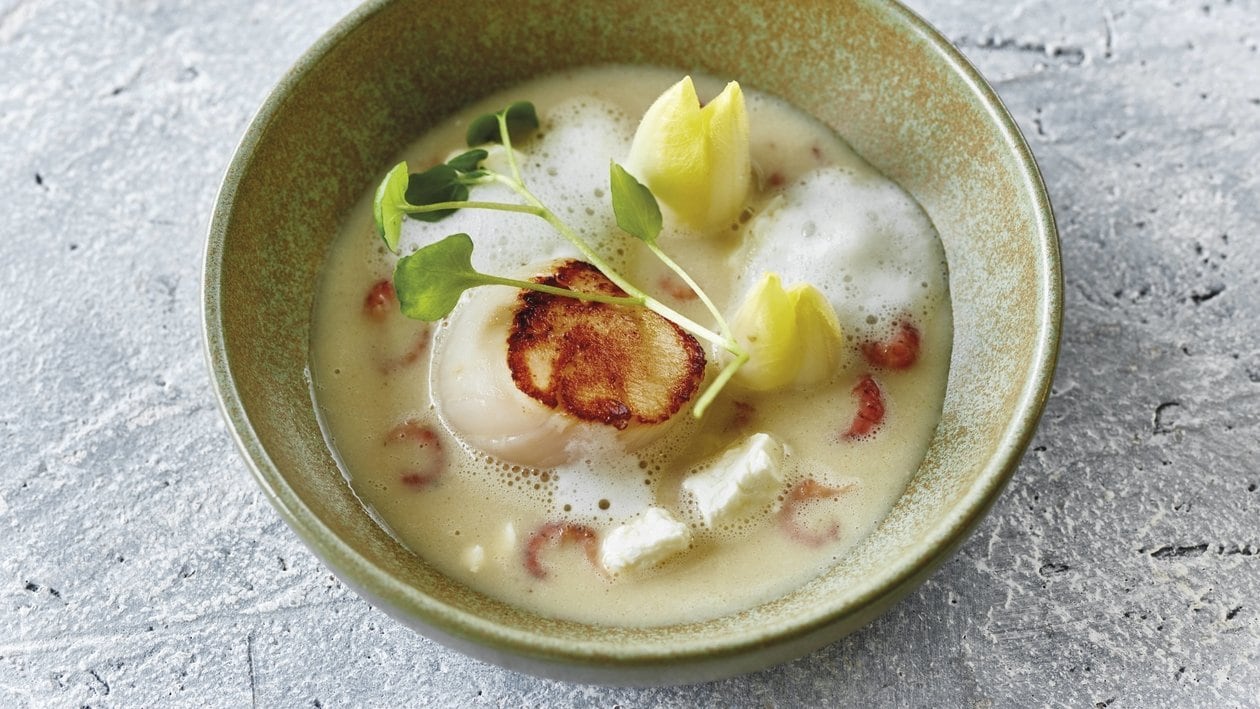 Chicoree Suppe mit Trüffelschaum, Jakobsmuscheln, Krabben und Ziegenkäse