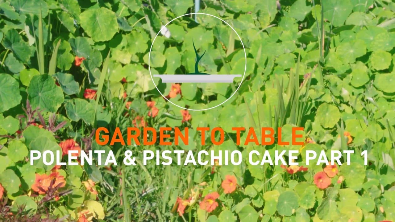 Vom Garten direkt auf den Tisch: Verwöhne deinen Gaumen mit frischen Köstlichkeiten aus dem Garten.
